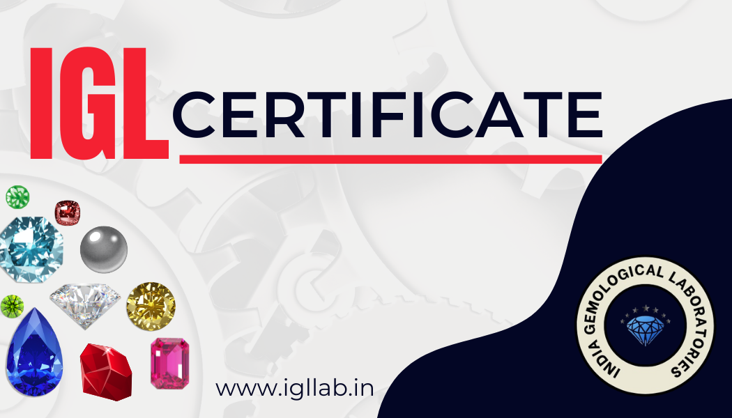 A person sitting at a desk using a laptop to search for certificates on a modern website interface with bright colors and clean UI